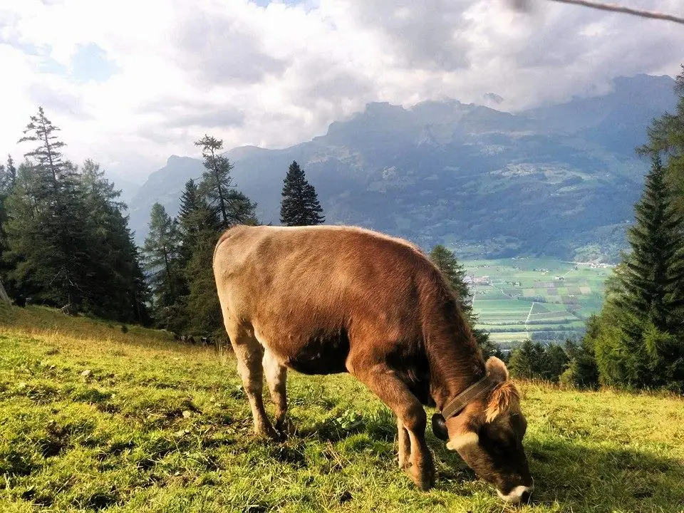 Fotografie de călătorie