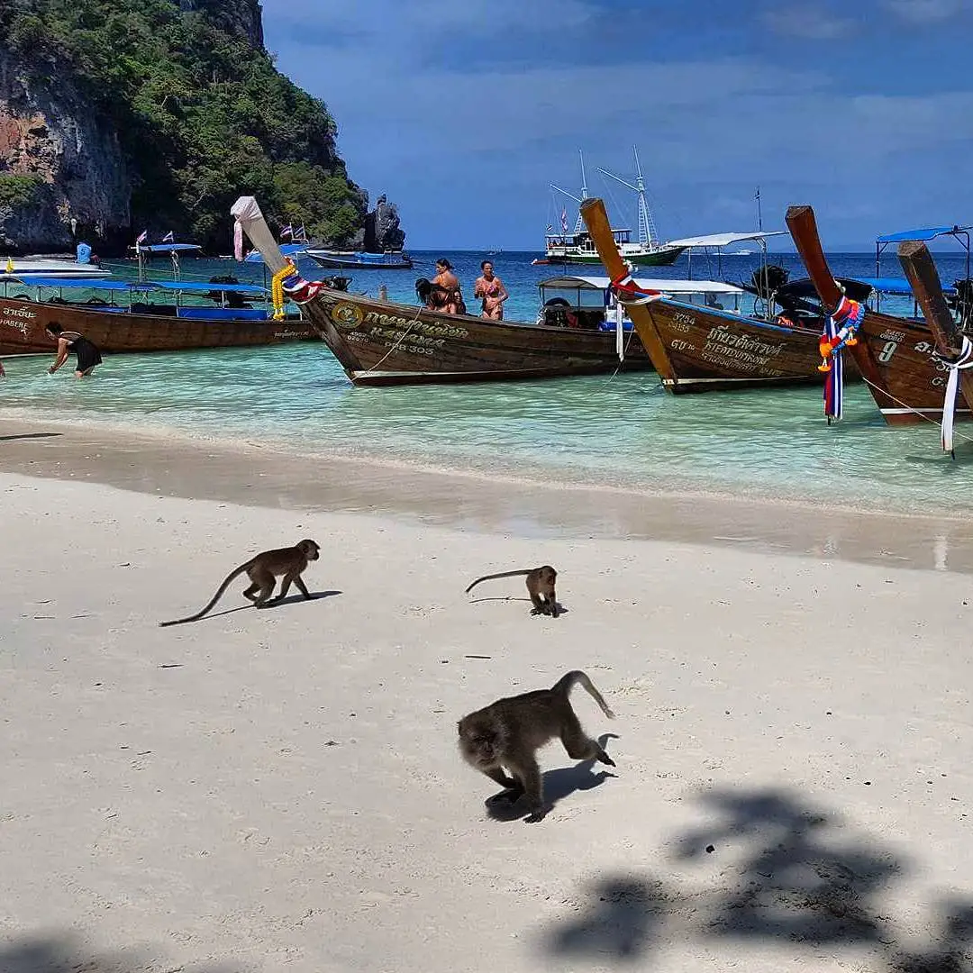 Fotografie: Thailanda