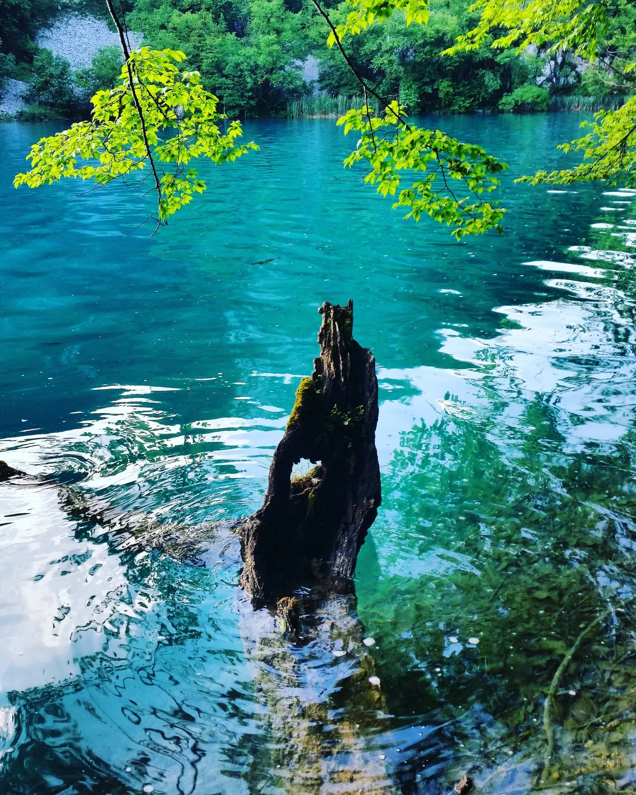 Fotografie de călătorie
