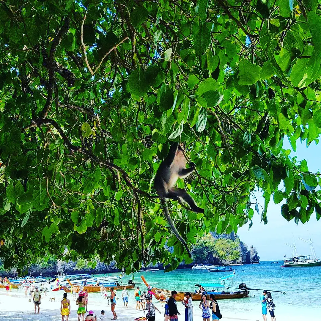 Fotografie: Thailand