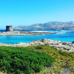 Read more about the article O plajă de vis! Stintino ,, Spiaggia La Pelosa”-Sardinia, Italia.
