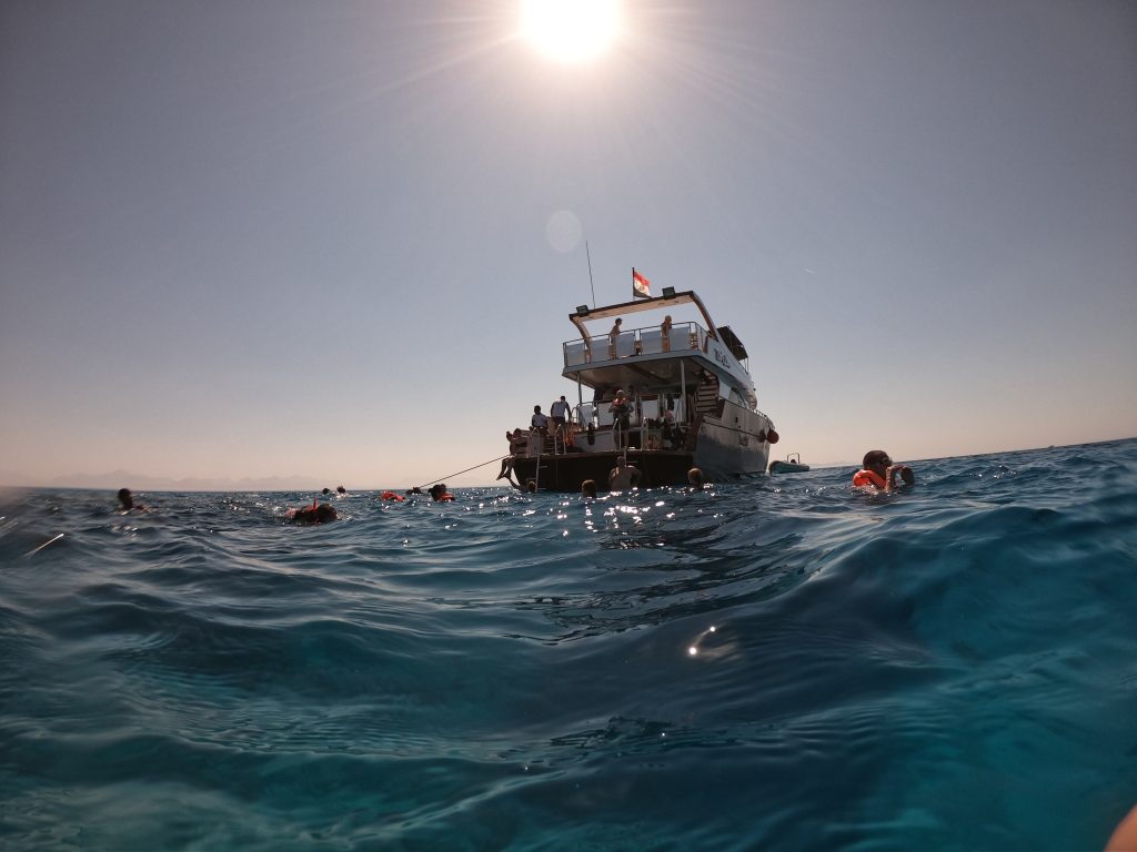 Snorkeling in Red Sea! 7